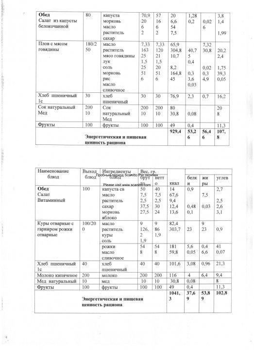 Конкурсная документация по питанию