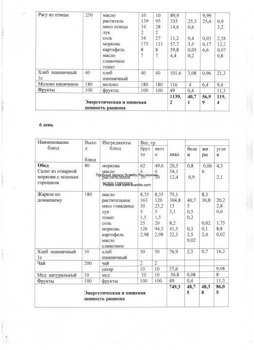 Конкурсная документация по питанию