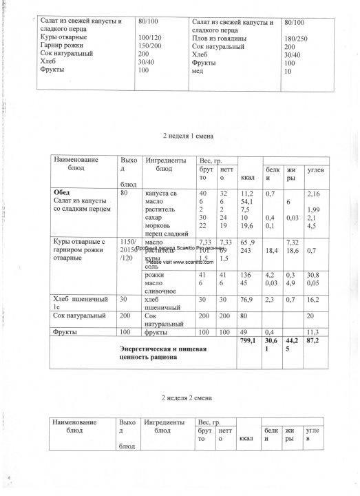Конкурсная документация по питанию