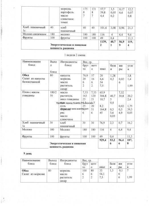 Конкурсная документация по питанию