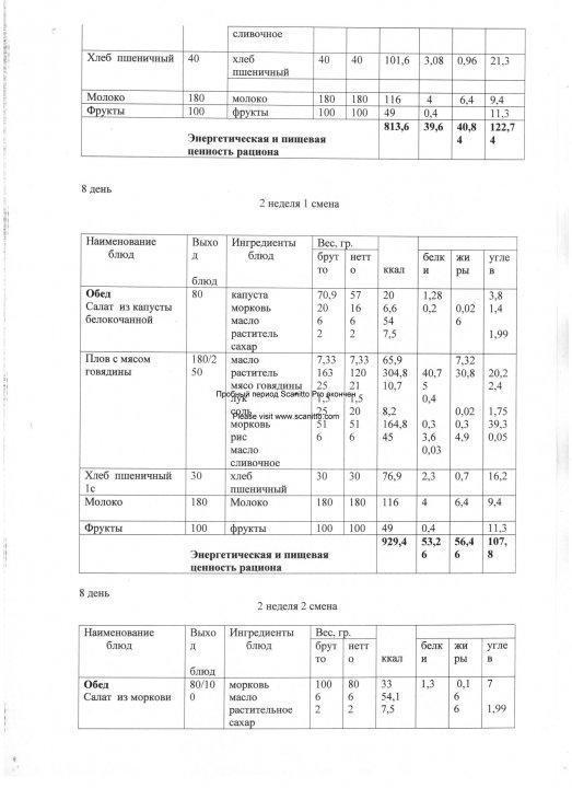 Конкурсная документация по питанию