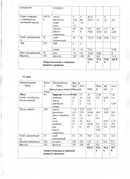 Конкурсная документация по питанию