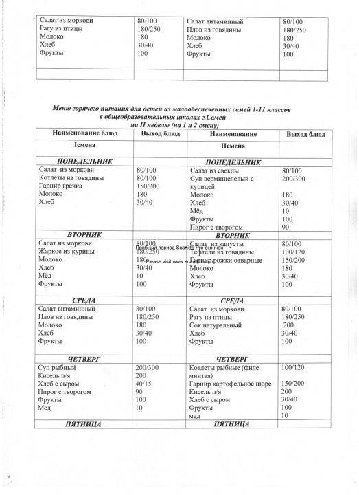Конкурсная документация по питанию