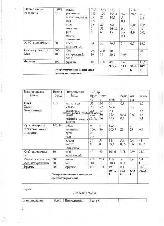 Конкурсная документация по питанию